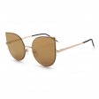 Classics Fashion Metal Sunglasses D5202