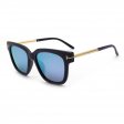 Classic Fashion Sunglasses D5016P