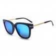 Classic Fashion Sunglasses D5016P